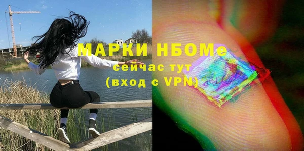 шишки Верхний Тагил